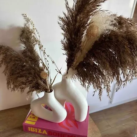 Superbe 2 Pieces Avec Terrasse روكوبرُن كاب مارتي
